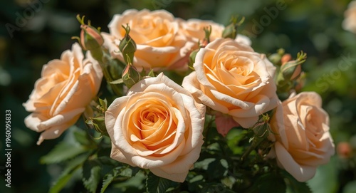 Close capture of delicate p...