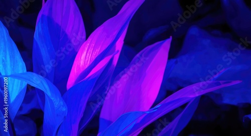 glowing blue and pink abstr...