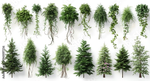 Forest vegetation set inclu...