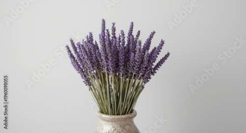 Frontal view of dried purpl...