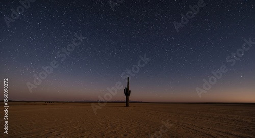 Open desert plain glowing b...