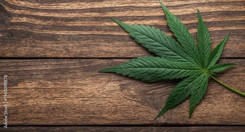 Close up of cannabis leaf o...