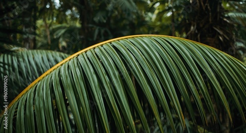 Macro shot of healthy palm ...