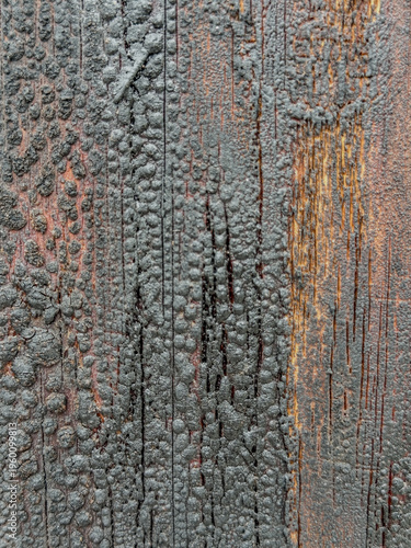 creosote on wood telephone pole texture