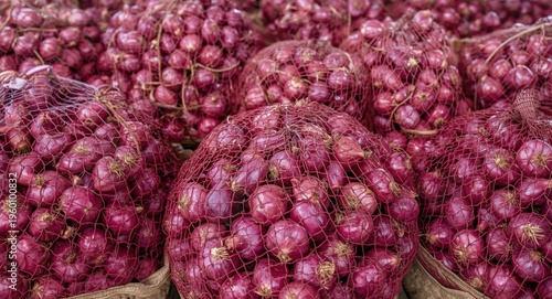 Export ready red onions pac...