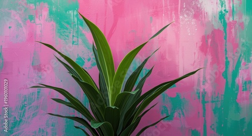 Houseplant in front of a co...