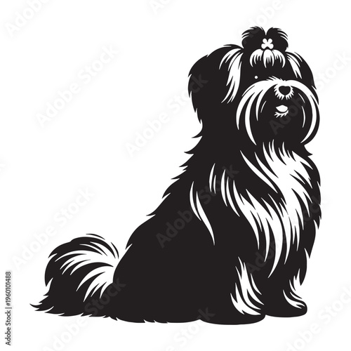 Maltese Dog Cute Fluffy White Puppy Small Toy Breed Elegant Companion Pet Playful Loving Friendly Indoor Dog Groomed Hair Adorable Face Family Pet Sweet Temperament Luxury Breed.