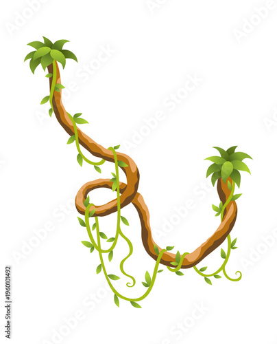 Liana branch. Twisted wild jungle vine plants. Woody natural tropical rainforest, exotic botany element. Vector design element