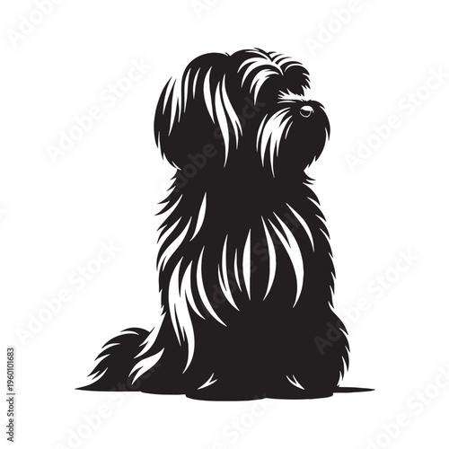 Maltese Dog Cute Fluffy White Puppy Small Toy Breed Elegant Companion Pet Playful Loving Friendly Indoor Dog Groomed Hair Adorable Face Family Pet Sweet Temperament Luxury Breed.