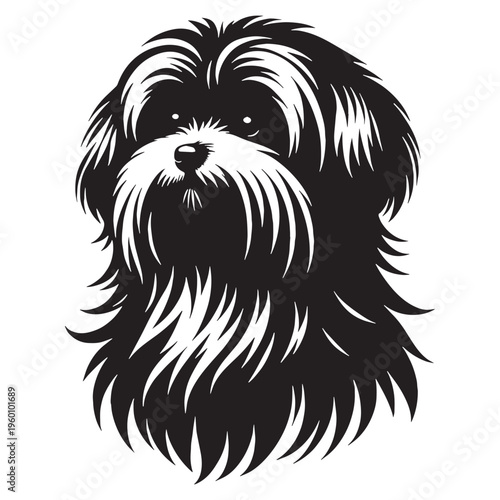 Maltese Dog Cute Fluffy White Puppy Small Toy Breed Elegant Companion Pet Playful Loving Friendly Indoor Dog Groomed Hair Adorable Face Family Pet Sweet Temperament Luxury Breed.