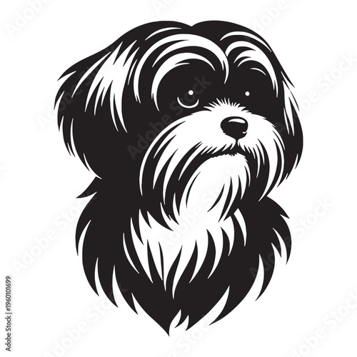 Maltese Dog Cute Fluffy White Puppy Small Toy Breed Elegant Companion Pet Playful Loving Friendly Indoor Dog Groomed Hair Adorable Face Family Pet Sweet Temperament Luxury Breed.