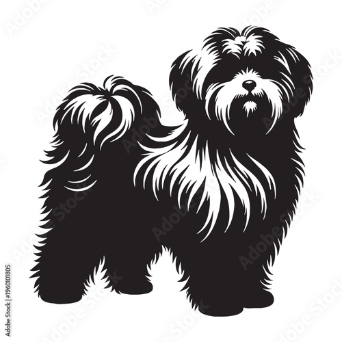 Maltese Dog Cute Fluffy White Puppy Small Toy Breed Elegant Companion Pet Playful Loving Friendly Indoor Dog Groomed Hair Adorable Face Family Pet Sweet Temperament Luxury Breed.