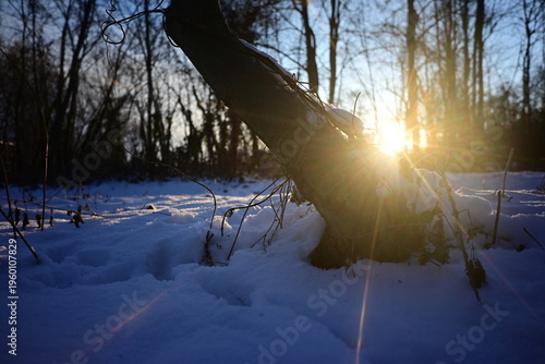 Sonnenaufgang 