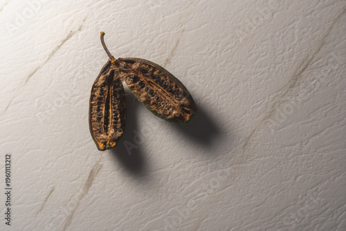 Mazorca de cacao entera sobre superficie de mármol blanco con iluminación dramática