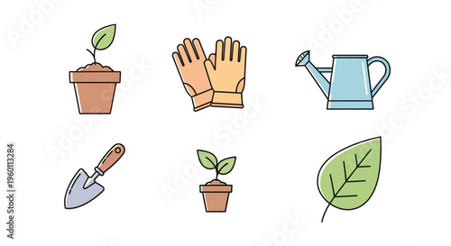 Gardening tools and plant care items.