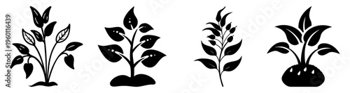 Growing plant stages illustration set isolated on white background for growth development and nature concept