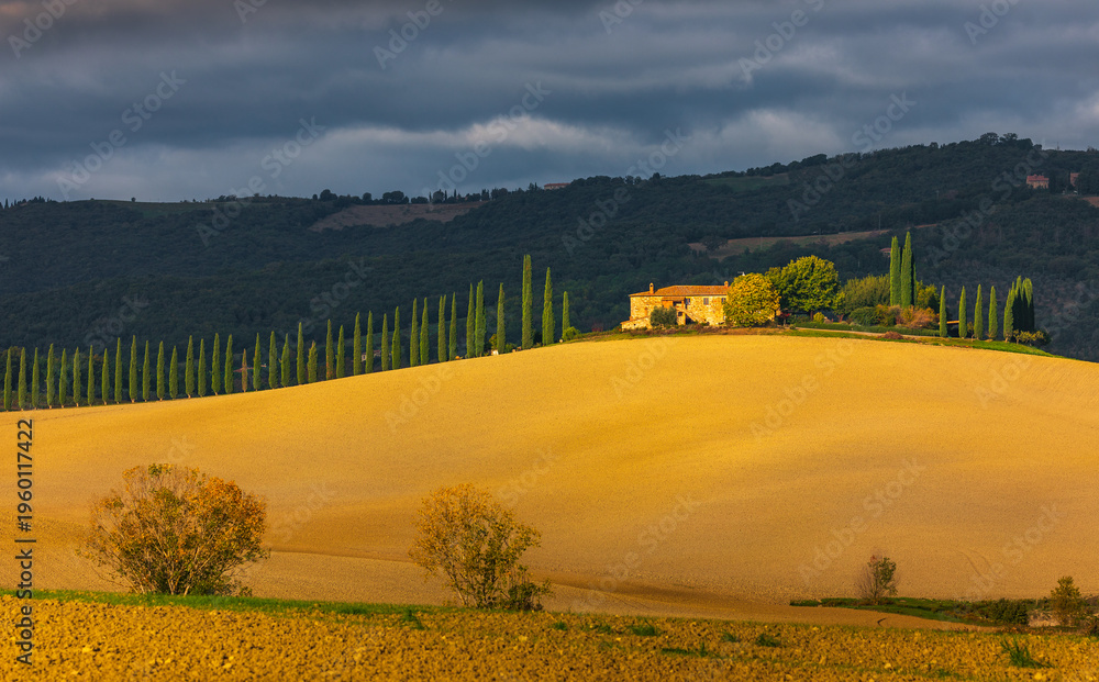 Fototapeta premium Tuscan farmhouse with cypress trees on rolling hills of Val d'Orcia, Italy.