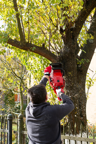Tree pruning with chainsaw in backyard garden