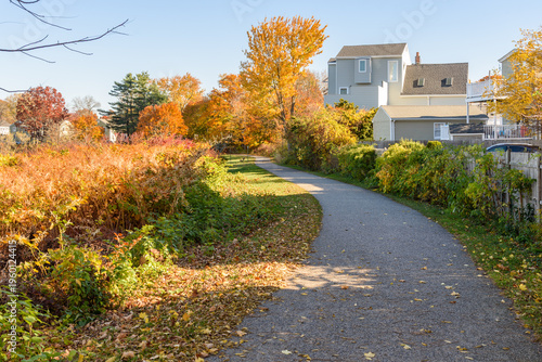Winding paved path for pedestrians and cyclists in a public park bordered by modern houses on a sunny autumn day