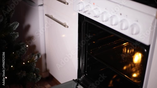 Cooking fish in the oven. Preparation of Dorado marinated with spices and lemon. A man puts a tray with two fish in the oven.