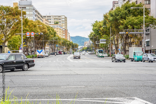 Crossroads at the end of a tree lined boulevard in kyoto city centre on a cloudy autumn day