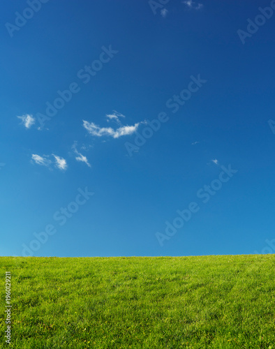 Grassland Landscape Under Blue Sky