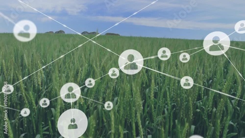 User profile icons floating over wheat field in flat design, showing glowing network connectivity