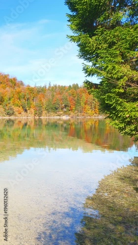 Calm forest water in alpine lake surrounded by autumn foliage offering peaceful relaxation and harmony