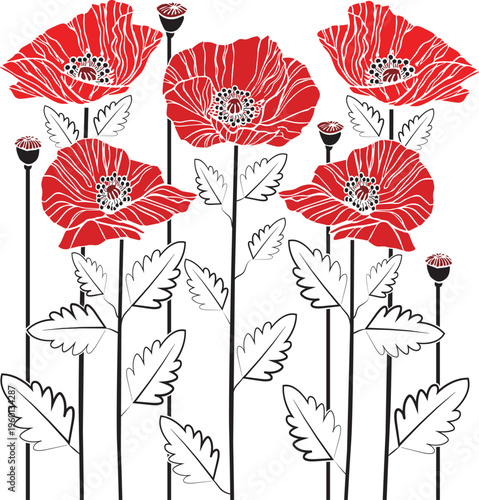 red poppies
