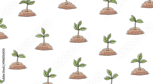 Small green plants growing in soil.