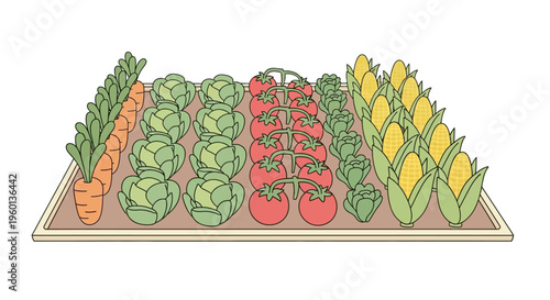 Variety of fresh vegetables on tray.