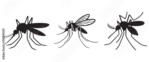 Three detailed mosquito illustrations are presented in a striking black and white profile silhouette high quality