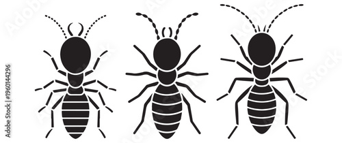 Three distinct termite silhouettes are displayed showcasing variations in body structure and wing configurations silhouette