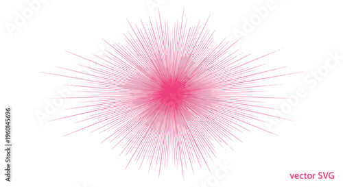 Abstract Pink Burst Radial Lines Explosion Background