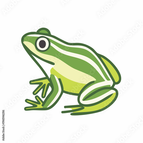 Cartoon green frog illustration. Wildlife amphibian animal drawing design.