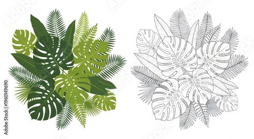 Tropical Leaves Arrangement - Greenery and Outline Illustration