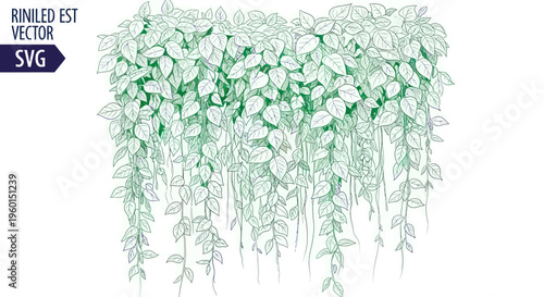 Green Hanging Vine Leaves Illustration - Natural Plant Growth