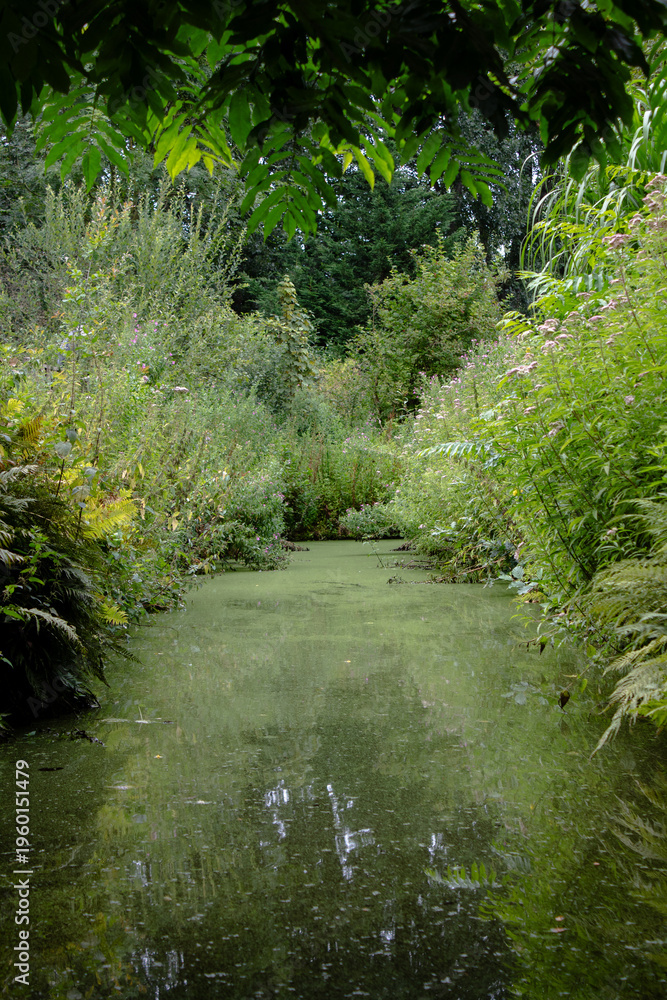 Obraz premium Amsterdam nature trail