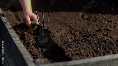 Fotografie Gardener's hand uses a hand cultivator tool to prepare rich soil in a raised gar