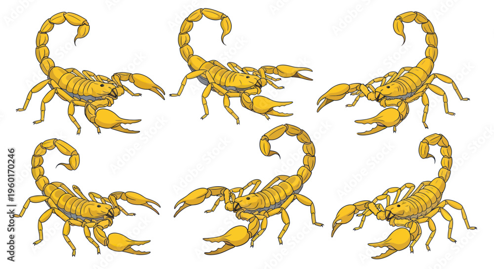 Fototapeta premium Scorpion Swarm Pattern