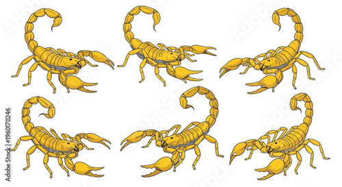 Scorpion Swarm Pattern