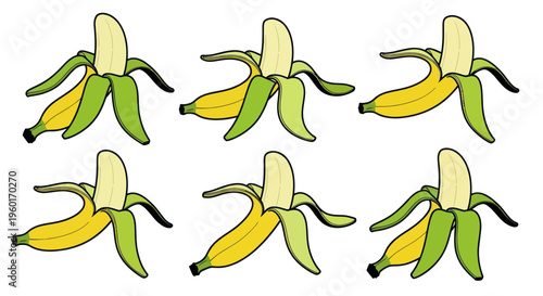 Six Partially Peeled Bananas, Yellow and Green, Isolated on White Background