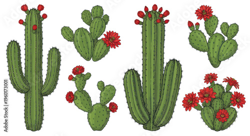 Desert Cactus Collection with Red Flowers
