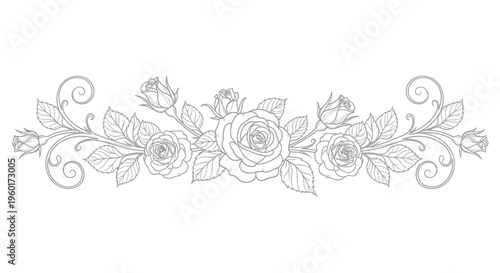 Elegant Rose Border Design - Vintage Floral Swirls and Leaves Illustration
