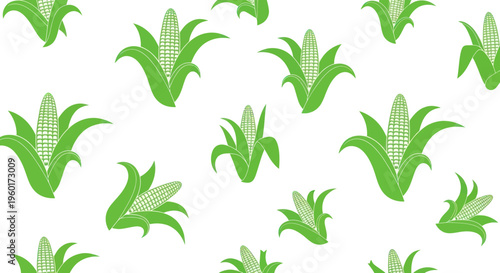 Green corn pattern, healthy food, agriculture, organic harvest, summer crop, fresh produce