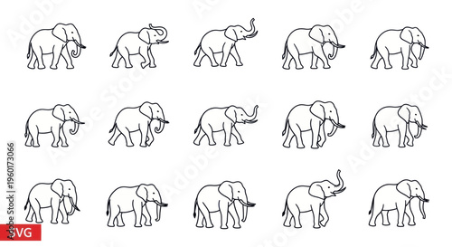 Set of Elephant Illustrations, Different Poses, Outline Style, Vector Art