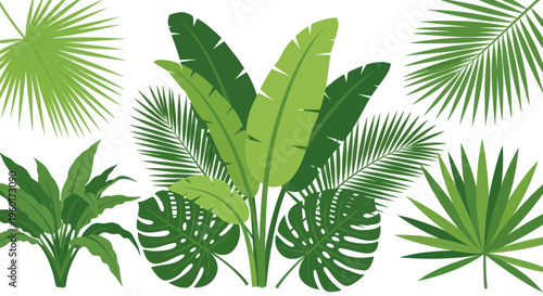 Tropical Leaves Collection: Exotic Botanical Elements, Jungle Plants, Greenery