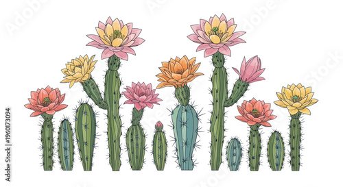 Vibrant Cactus Flowers in Bloom - Desert Plant Collection Illustration