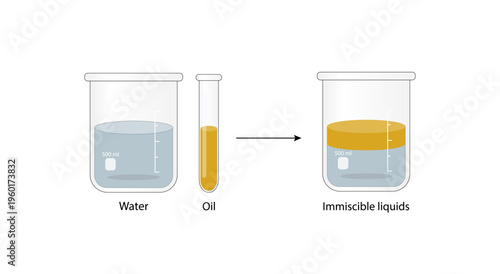 Emulsion, a mixture of two immiscible liquids (oil and water) in beakers, Emulsion oil in water, Immiscible liquids. Emulsification, emulsifier. isolated on white background. Vector illustration.
