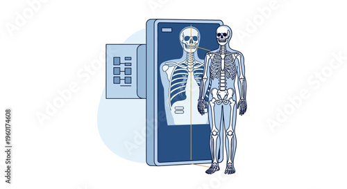 Vector Illustration of a Human Skeleton Undergoing X-ray Examination, Showcasing Diagnostic Medical Imaging Process and Radiography Technology